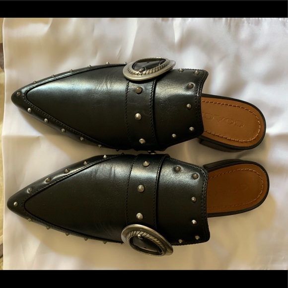 Coach slides - Picture 1 of 5